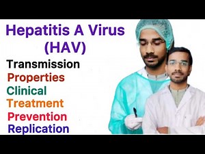 Hepatitis A Virus (HAV) | Properties | Pathogenesis | Clinical | Diagnosis | Treatment | Prevention