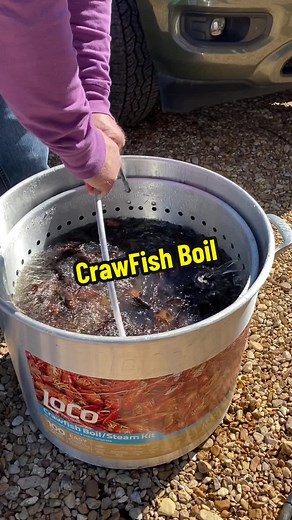 Louisiana Style Crawfish Boil | Southern Boy Seasoning