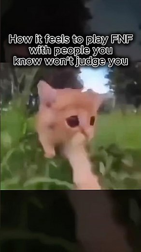 FNF CAT CUTE EDIT #fnf #cat #cute