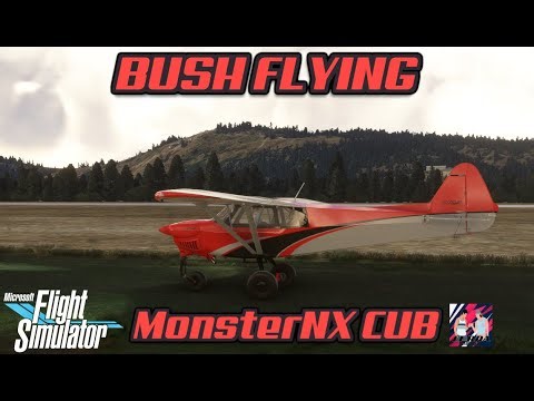MSFS Back Country "Bush" Flying in the PNW Monster NX Cub