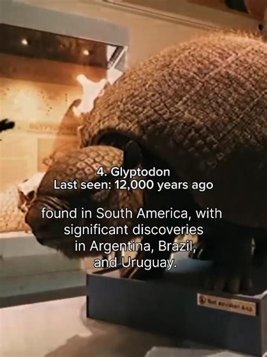 lost animals of the Prehistoric era | #ancientcreatures #extinctanimals #prehistoric #geography