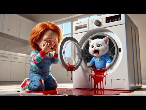 Poor Kitten Trapped in Machine 💔 | Chucky’s Brave Rescue