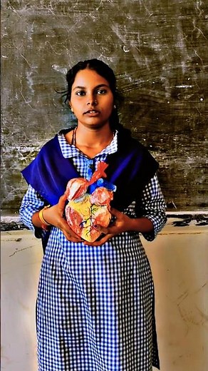 DIY Human Heart Model | Step-by-Step Tutorial 🎥🫀