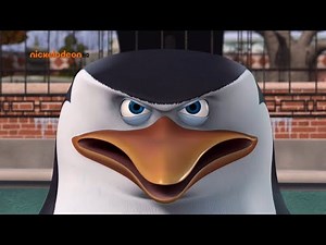 Skipper funny moments pl