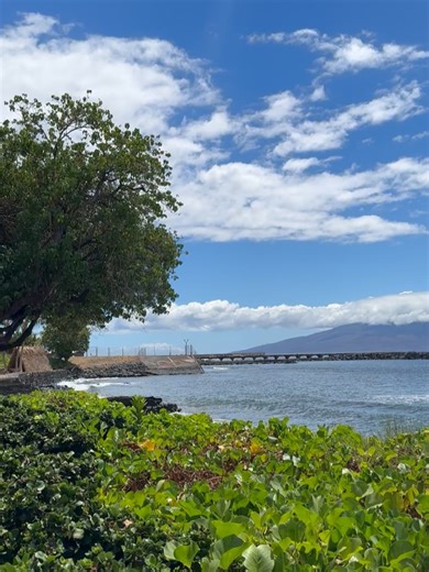 41 reactions · 3 comments | Aloha Mixed Plate on Reels | Facebook