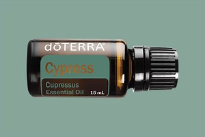 Cypress Essential Oil  | doTERRA Essential Oils