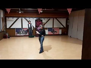 Delicious Lernvideo Teach & Dance Line Dance Biene Teil 1