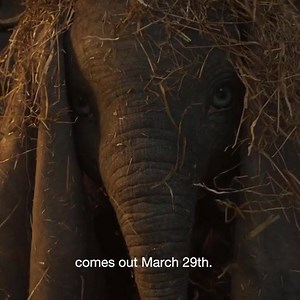 15K views · 335 reactions | Happy New Ears from Disney’s #Dumbo! | Walt Disney Records | Facebook