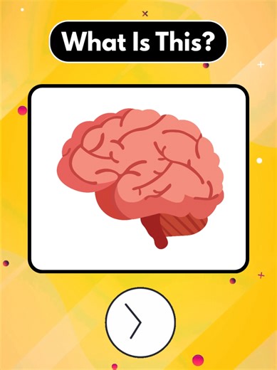 PART 137 | English Vocabulary #englishvocabulary #vocabulary #english #fyp #usa