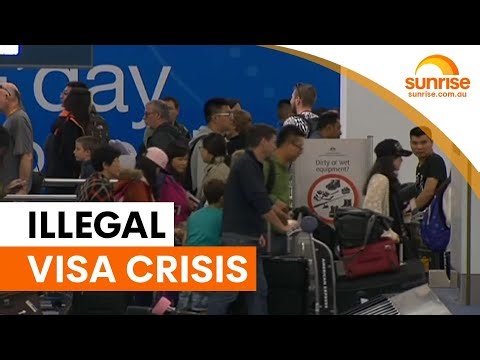 77,000 illegal visa overstayers living in Australia | Sunrise