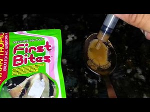 Artificial Discus Fry Hatch food Feeding Hikiri First bite