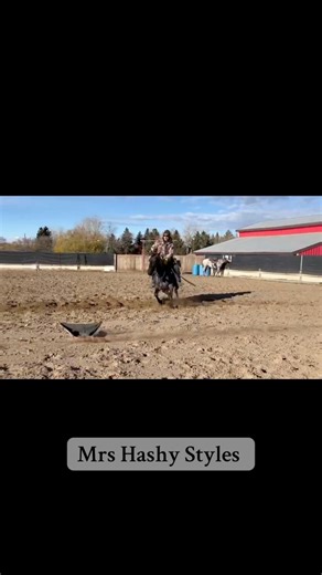 1K views · 33 reactions | Mrs Hashy Styes (Hashtags x Peptoboonsmal x Grays Starlight) | Dancyland Ranch | Facebook