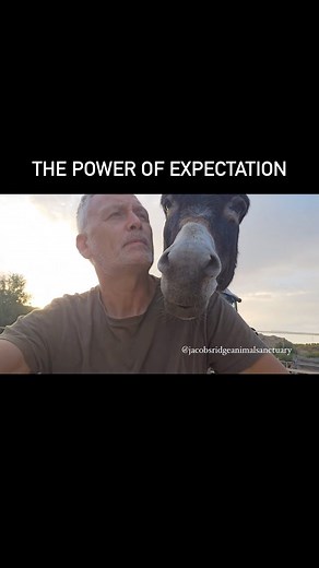 45K views · 2.2K reactions | Who wore it better? Watch the full video on our YouTube channel and don’t forget to subscribe!  | Jacobs Ridge Animal Sanctuary | Facebook