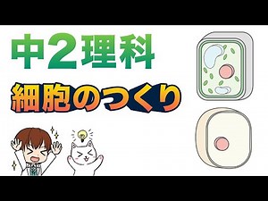 【中２理科】細胞のつくり（単細胞生物と多細胞生物）【生物動画１】