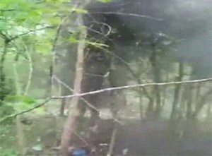 70K views · 178 reactions | Watch: Security forces defuse IED in Chhattisgarh | The Times of India | Facebook