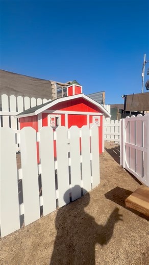 The mini Red Barn is just about done. #herculeslives #pitbull #pitboss #shortyrossi #shortysrescue #cigar #rescued #pitbullinstagram #pitbullife #canecorse #dogoargentino #sanctuary #trailerpark #animalsanctuary #ranchlife #sanctuarylife #trailerparklife #canecorso #englishbulldog #bulldogs #frenchie #greatdane @topfans | Shorty Rossi