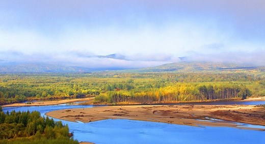 联合国呼吁扭转生态环境退化 应对气候与生物多样性挑战