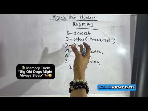 Algebra and Numbers Made Easy | Complete Beginner’s Guide