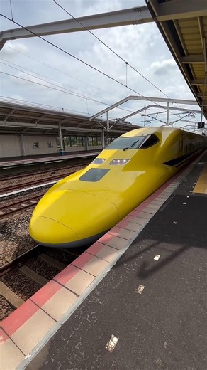 Catching the Legendary Doctor Yellow Shinkansen! 🚄💨