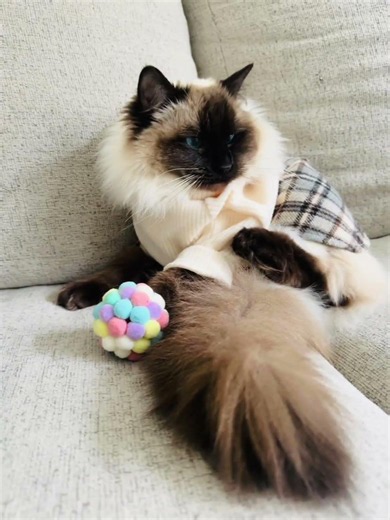 Top 3 mittens