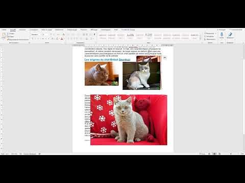 Word - insertion images, grouper et superposer des images (partie 4)