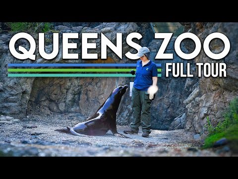Zoo Tours: Queens Zoo | Full Exhibit by Exhibit Tour