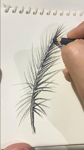 How to draw tropical leaf drawing for beginners