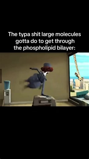 Large Molecules Crossing Phospholipid Bilayers: Biology Memes