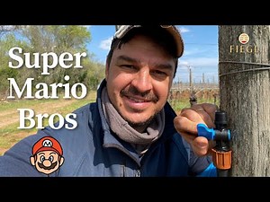 Come installare i rubinetti sull'ala gocciolante | Qualche consiglio pratico