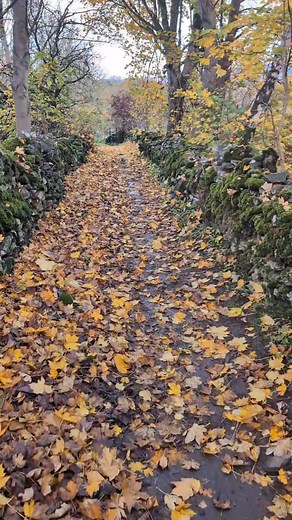 3.2K views · 66 reactions | Bradwell Brook to Peakshole Water A walk between the two extraction points of the Derbyshire Limestone Scheme - a water transfer / diversion of enabling water to be moved to Ladybower Reservoir. I began at Bradwell walking around the rear of Hope Cement Works onto Peakshole Water near Castleton. Full video in the comments below  #castleton #derbyshire #ladybower #reservoir #fblifestyle | Our History Underfoot | Facebook