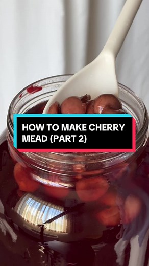 How to make cherry mead 🍒 #mead #meadtok #meadmaking #brew #homebrew #cherry #cherrywine #fruitwine #winelover #homemade #easyrecipe
