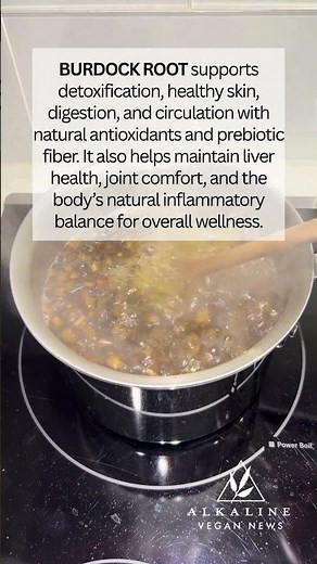 Benefits of Burdock Root