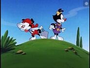 Noel- Animaniacs -CC-