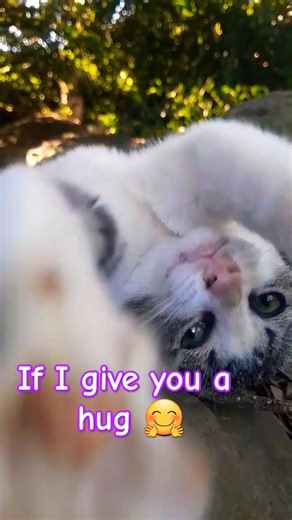 If I give you a hug 🤗