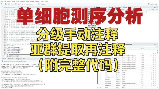 【Broca】单细胞测序数据分级手动注释 亚群提取再注释全流程讲解！（附完整代码）