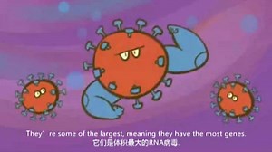 TED-What is a coronavirus双语字幕