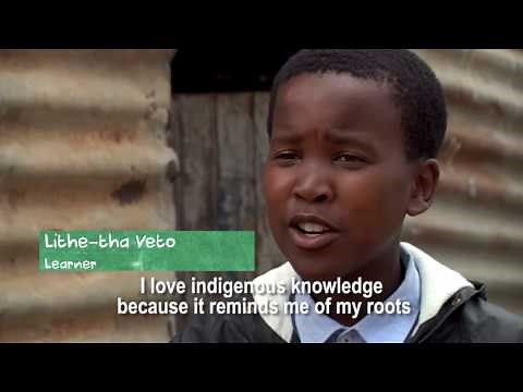 Ulwazi Lwakdala - Indigenous knowledge in Science