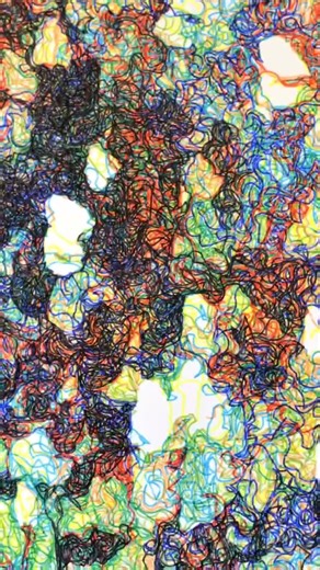 Generative Geometry: Patterns of Perfection @lb.allix