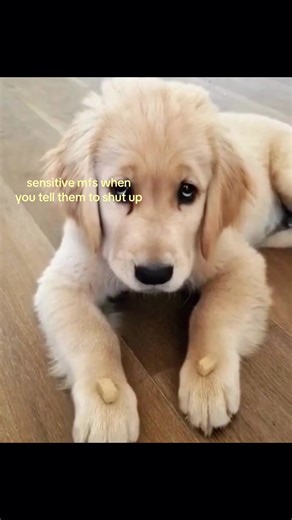 im mfs #fyp #foryoupage #viral #vent #targetaudience | Vent Tiktok