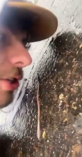 What are you doing in my driveway scumbag worm meme