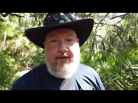 FAQ How Many Bat Houses do I need?