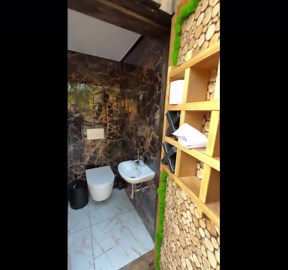 Rural Toilet Hides Luxurious Inside