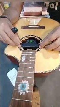 strydom S236 pickup install for double GO pro