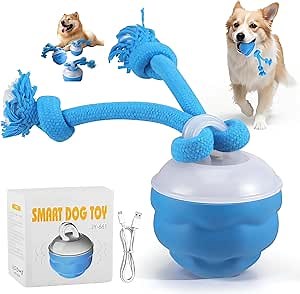 Amazon.com : Interactive Ball for Dogs, Automatic Moving Dog Toy Ball with Cover, Bouncing & Rotating Electric Pet Balls for All Breed Sizes Dogs, Interactive Rolling Balls Dog Toys to Keep Them Busy (Orange) : Pet Supplies