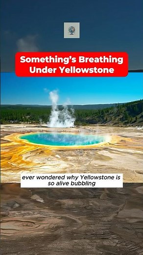 Why is Yellowstone so unique? #yellowstone #facts #factsdaily