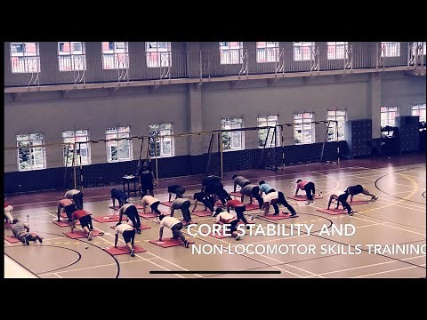 Core Stability and Non-Locomotor Skills Training (Standard and Progression)
