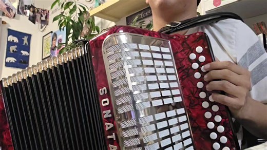 Experience the Joy of Can Can Music on Accordion