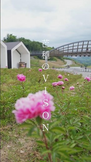 芒種のVISON / 本草七十二候シリーズ