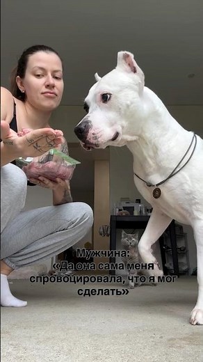 #кинолог #собака #собаки