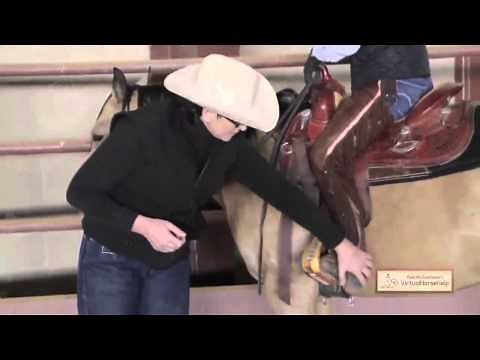 Stirrup Adjustment - Barbara Williams